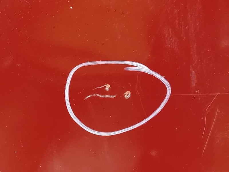 Porta POST DX 50509298 Alfa Romeo Giulietta 2013