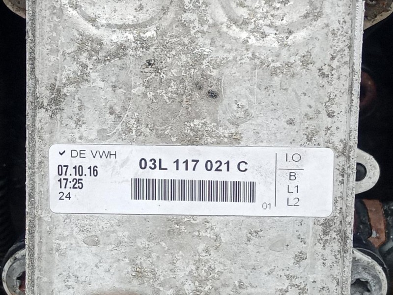 Motore Completo CAYE 75 CV 55 KW Volkswagen Caddy IV 2011