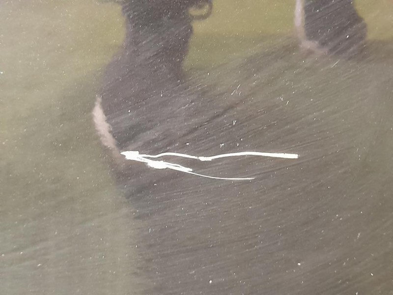 Porta POST DX 41009628756 Bmw Serie 5 F10 Berlina 2010