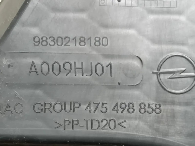 Cornice Fendinebbia DX 9830218180 Opel Corsa F 2019