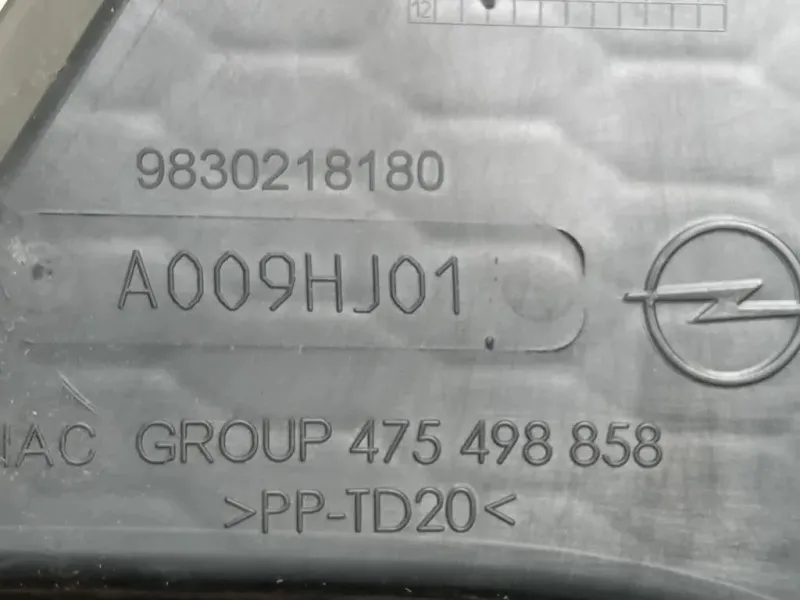 Cornice Fendinebbia DX 9830218180 Opel Corsa F 2019