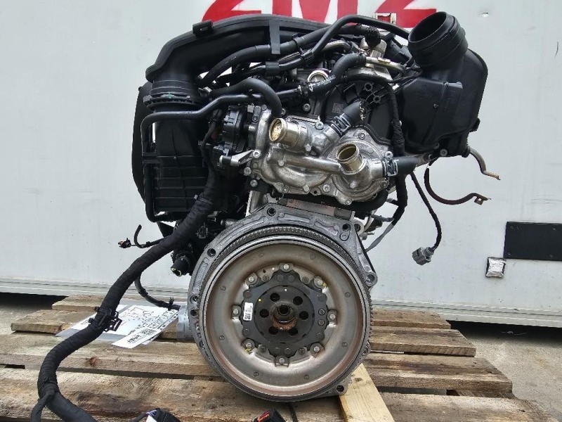 Motore Completo DPCA 150 CV 110 KW Volkswagen Tiguan II 2020