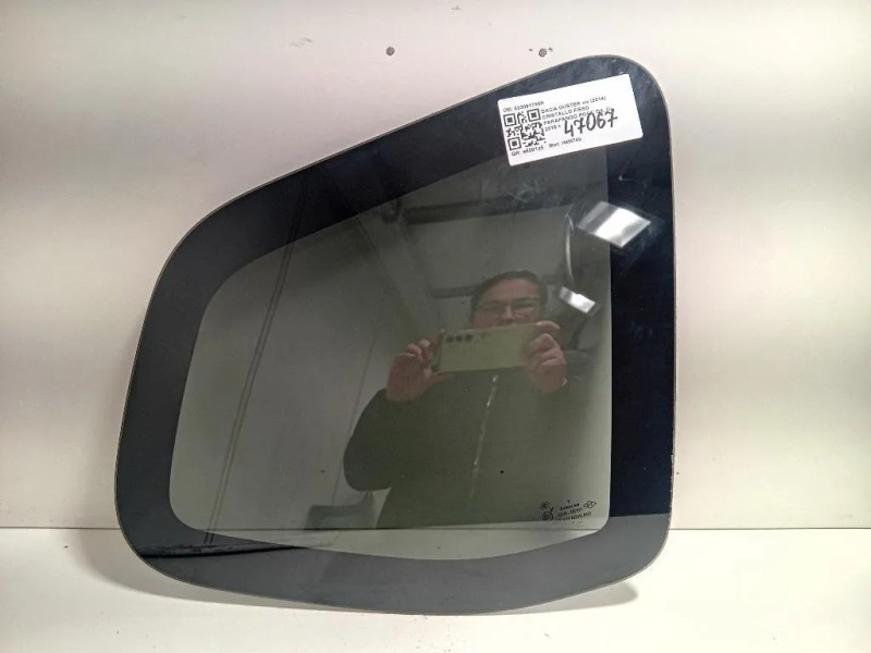 Cristallo Fisso Parafango POST DX 833061798R Dacia Duster I 2014