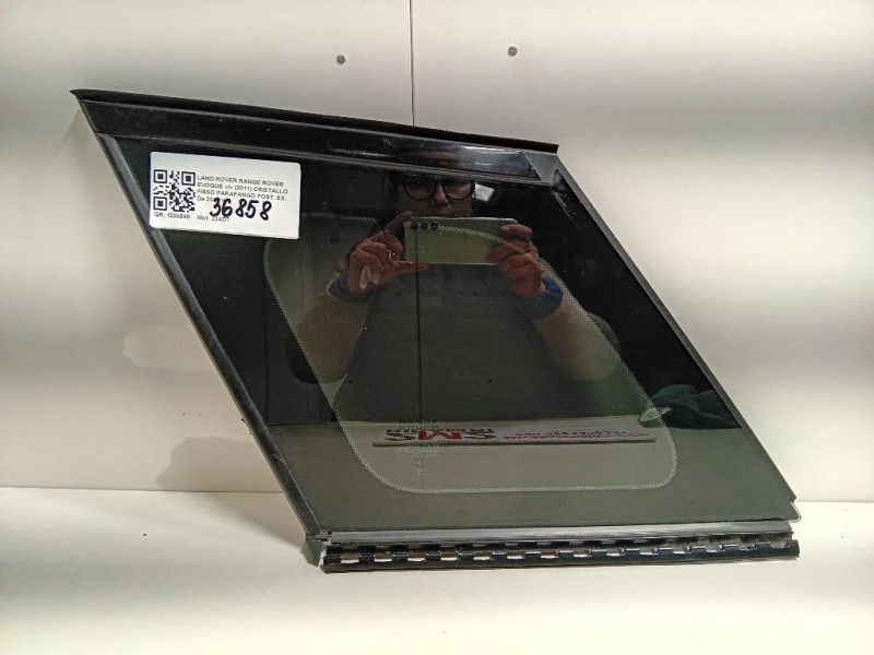 Cristallo Fisso Parafango POST SX  Land Rover Range Rover Evoque I 2011