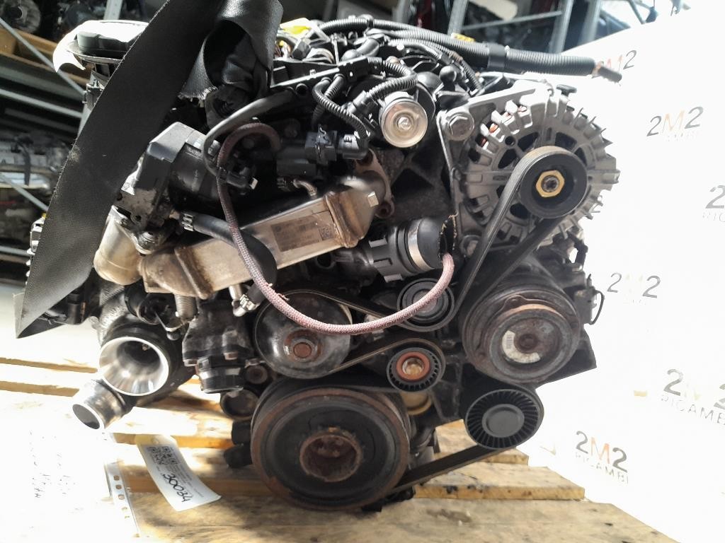 Cristallo Fisso Porta POST SX 565740102 Opel Astra K 2016
