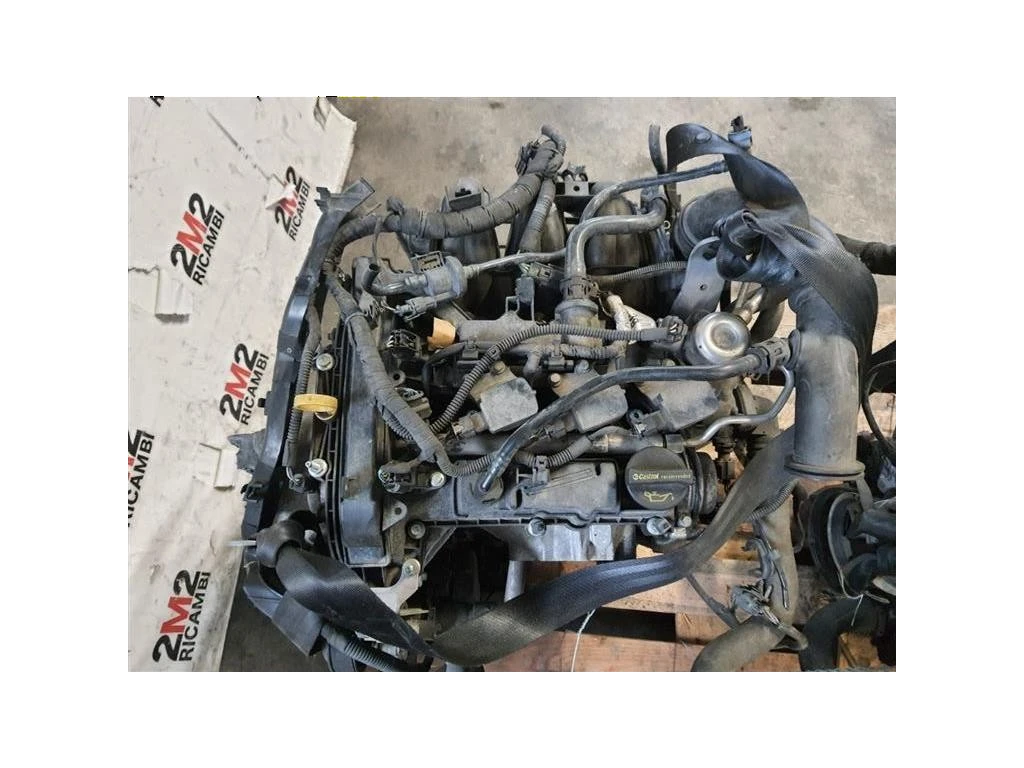 Motore Semicompleto MOTORE FORD P4JA P4JB P4JC P4JD 10 BENZINA Ford Fiesta VII 2021