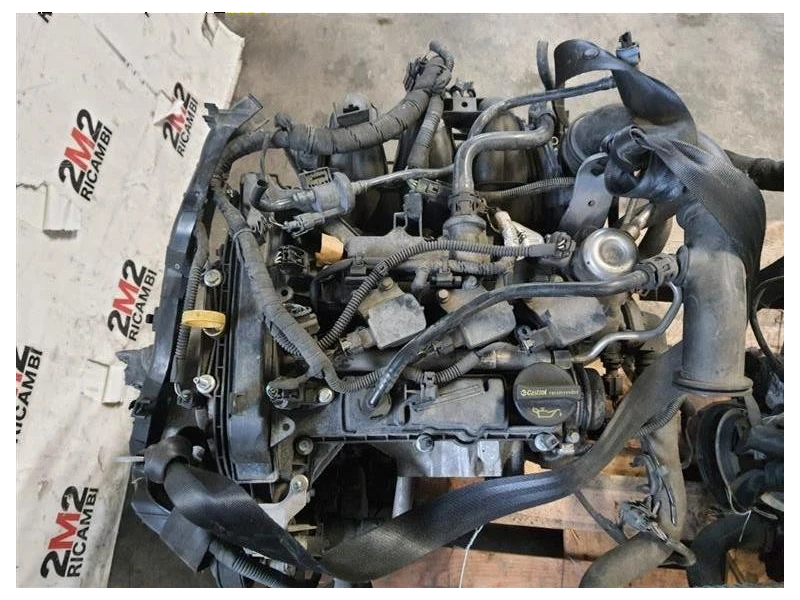 Motore Semicompleto MOTORE FORD P4JA P4JB P4JC P4JD 10 BENZINA Ford Fiesta VII 2021