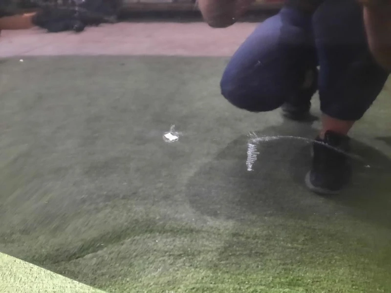 Porta POST DX 6700353041 Lexus Serie IS II 2006