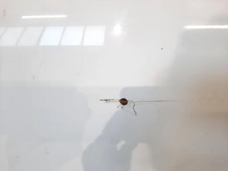 Porta POST DX 670030D190 Toyota Yaris IV 2014