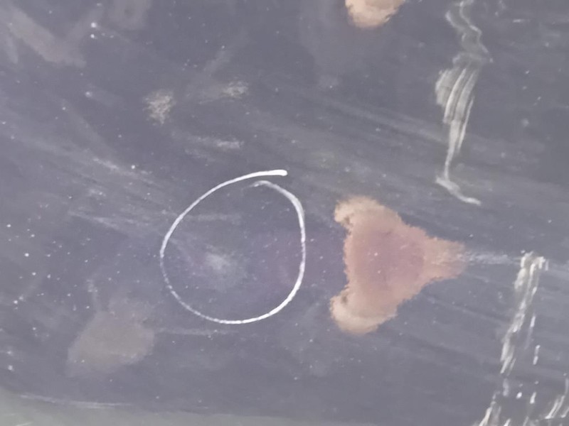 Porta POST DX PORTA POST DX Volkswagen Sharan IV 2015