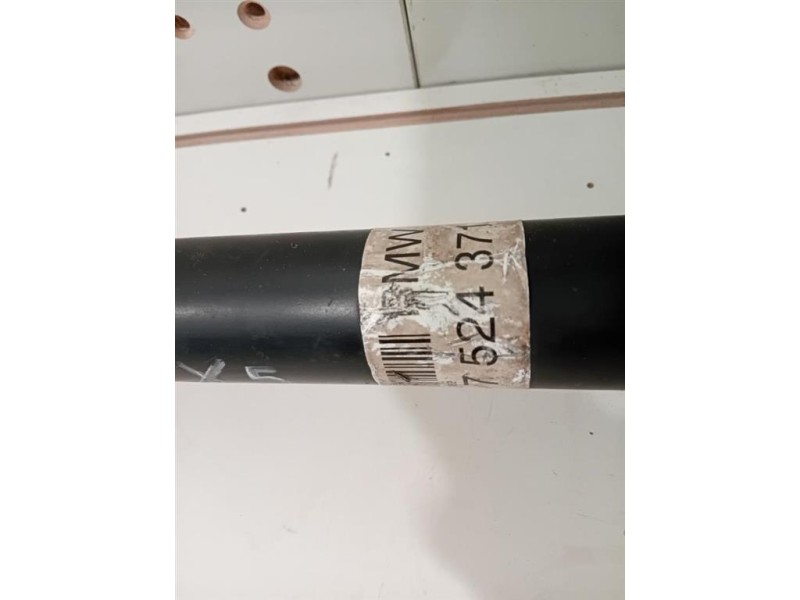 Albero Motore 7524371 Bmw X5 E53 2000