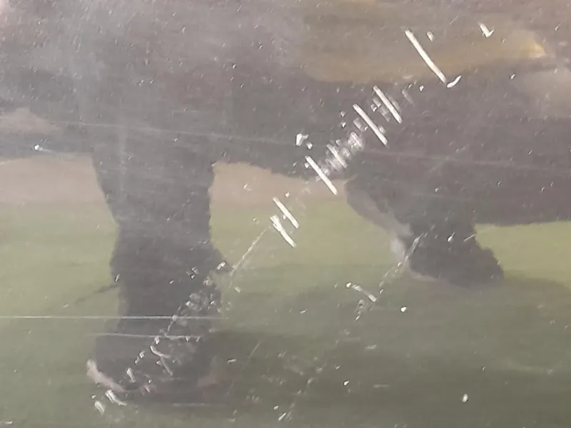 Porta POST SX 41009628751 Bmw Serie 3 E91 Touring 2005