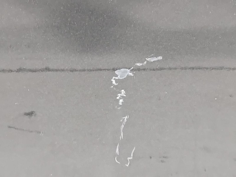 Porta POST SX 39171932 Opel Meriva B 2010