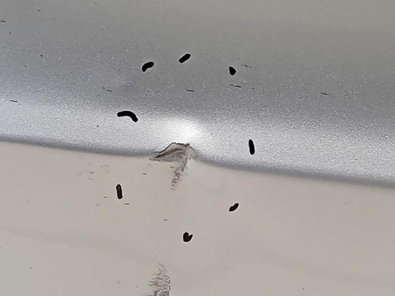 Porta POST SX 3T9833055 Skoda Superb 3T5 SW 2013