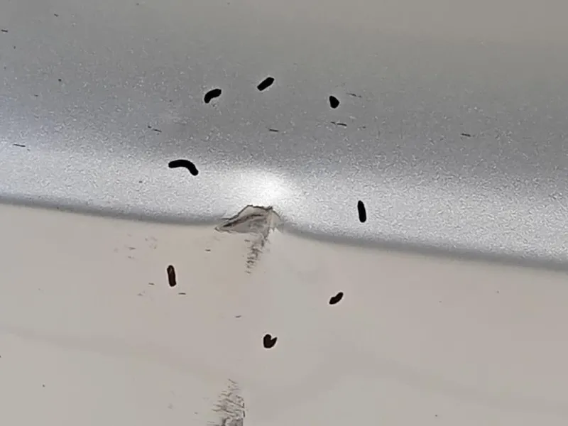 Porta POST SX 3T9833055 Skoda Superb 3T5 SW 2013