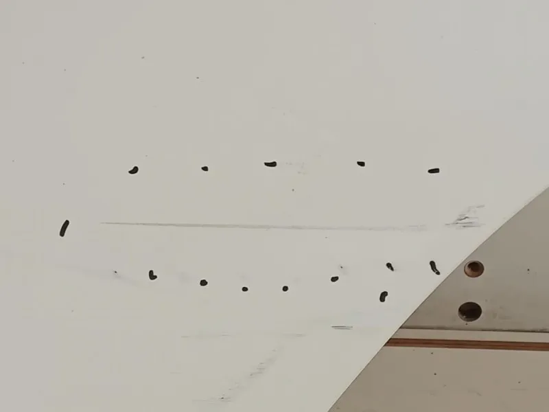 Porta POST SX 670040D210 Toyota Yaris IV 2012