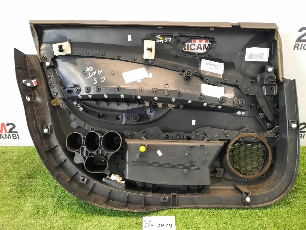 Pannello Rivestimento Porta ANT DX ANT DX Citroen C5 III 2008