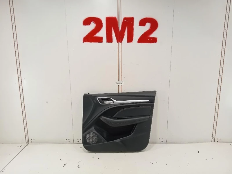 Pannello Rivestimento Porta ANT DX PANNELLO RIVESTIMENTO PORTA ANT DX Mg ZS II 2020
