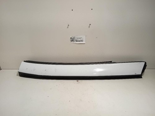 Pannello Rivestimento Tetto ANT DX