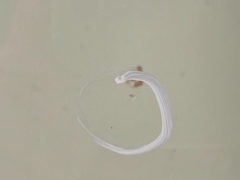 Parabrezza A1666701001 Mercedes Classe ML W166 2012