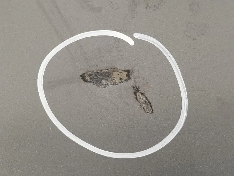 Portello POST 41627168761 Bmw Serie 5 E60 Berlina 2004