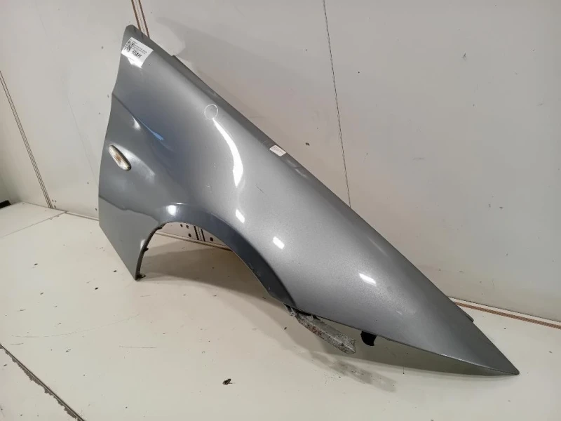 Parafango ANT DX 41355A55AF4 Bmw Serie 3 E90 Berlina 2005