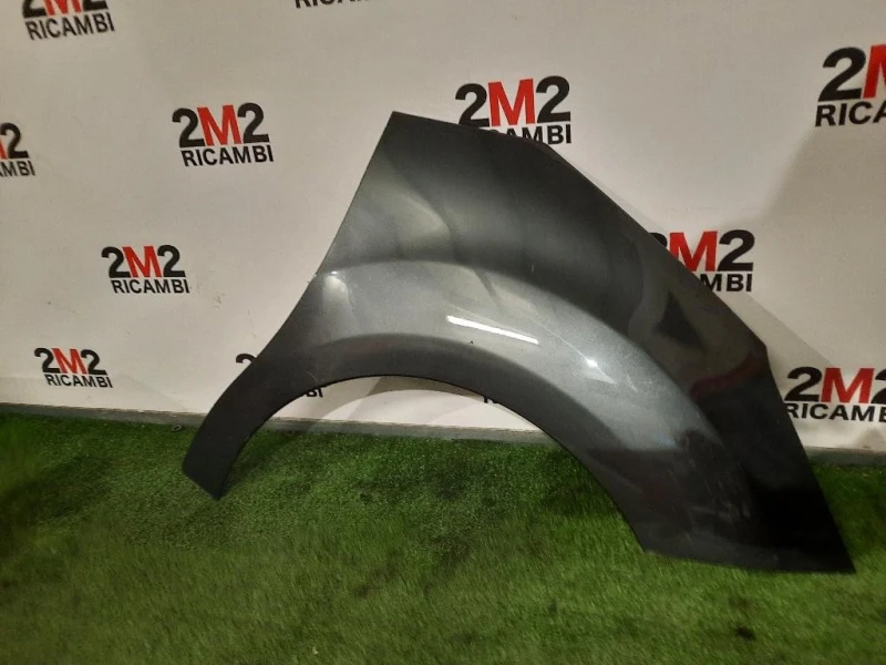 Parafango ANT DX 7841Z7 Citroen C3 II 2010