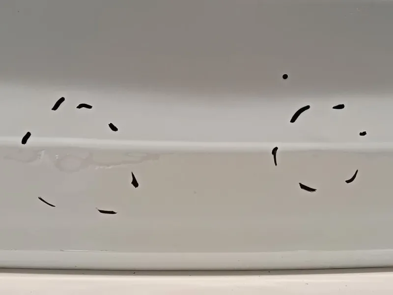 Portello POST PORTELLO POST Dacia Duster III 2024