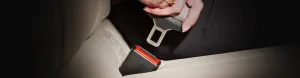 Seat Belts